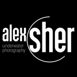 Alex Sher