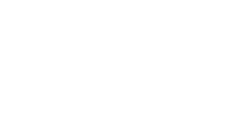 Art of Portrait
