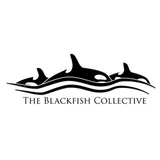 Blackfish Collective Photography